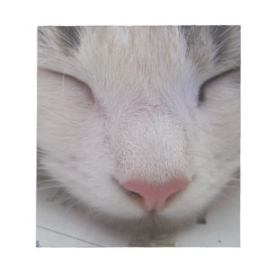 Sleeping Cat Notepad