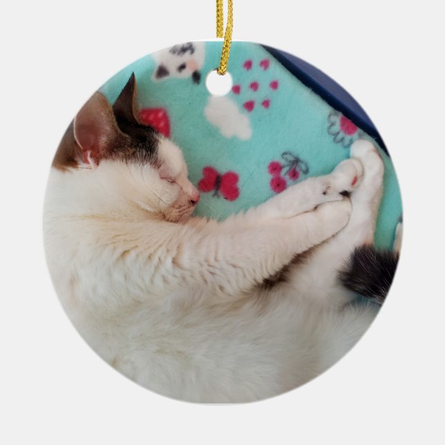 Sleeping cat ornament (Front)