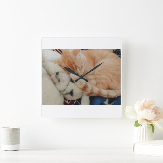 Sleeping Cat Photo Wall Clock (Home)
