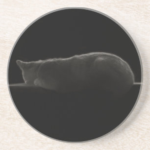 Sleeping Cat Photograph Coaster