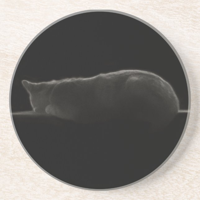 Sleeping Cat Photograph Coaster (Front)