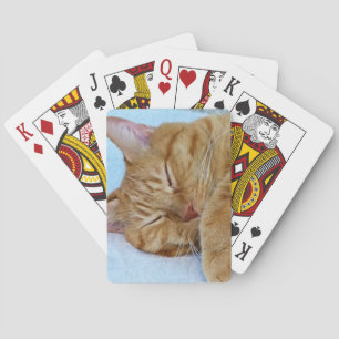 Sleeping Cat Playing Cards