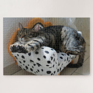 sleeping cat puzzle