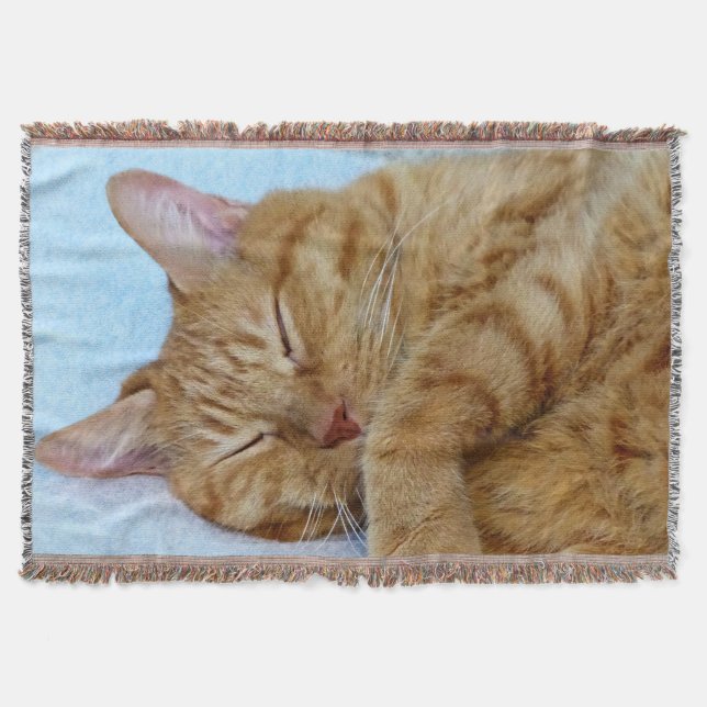 Sleeping Cat Throw Blanket (Front)