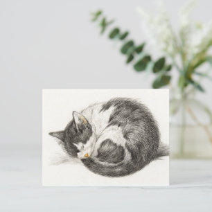Sleeping Cat Vintage illustration Postcard