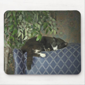 Sleeping Catnap, Kitty Kitten Mousepad