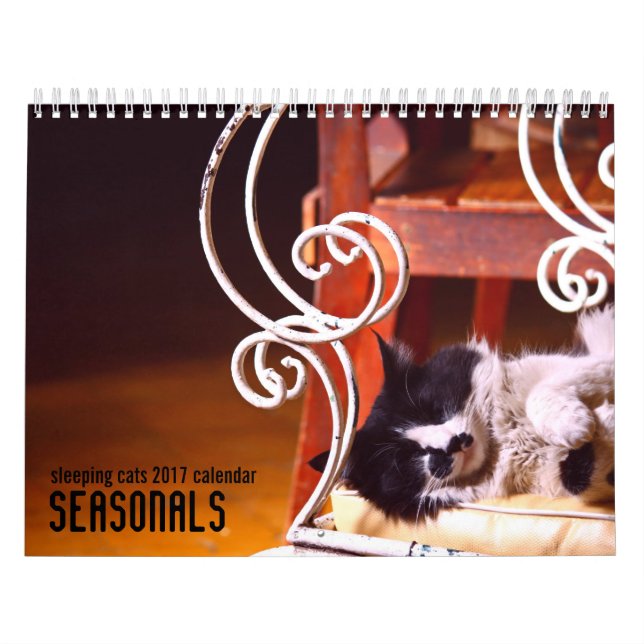 Sleeping cats 2017 wall calendar (Cover)