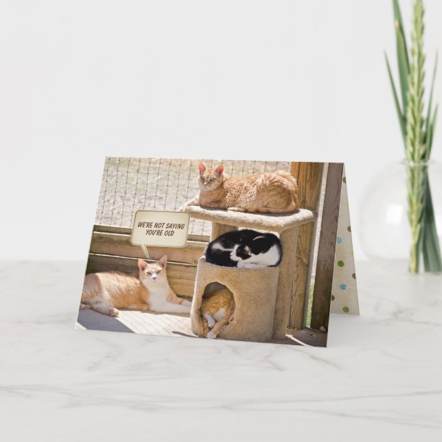sleeping cats birthday card (Front)