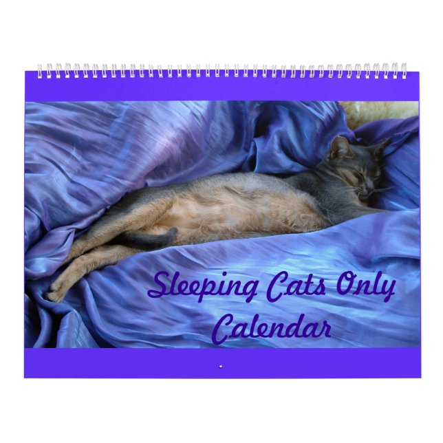 Sleeping Cats Calendar (Cover)