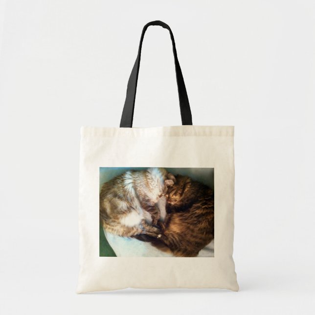 Sleeping cats tote bag (Front)