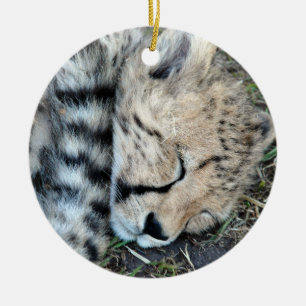 Sleeping Cheetah Cub Photo Ceramic Tree Decoration