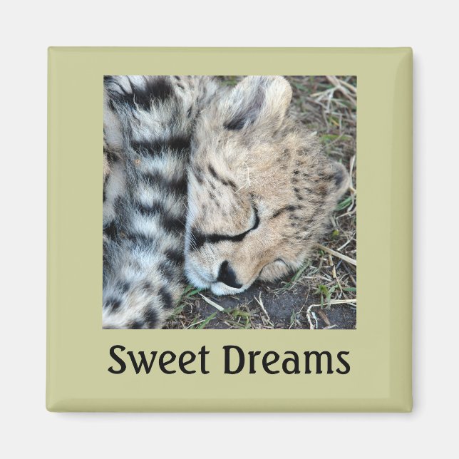 Sleeping Cheetah Cub Photo Magnet (Front)
