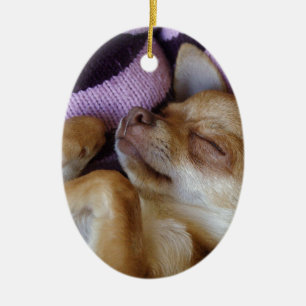 Sleeping Chihuahua Ceramic Tree Decoration