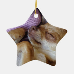 Sleeping Chihuahua Ceramic Tree Decoration