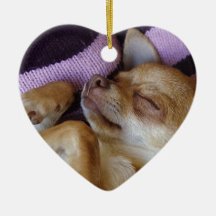 Sleeping Chihuahua Ceramic Tree Decoration