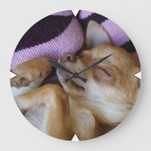 Sleeping Chihuahua Large Clock