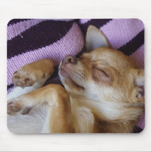 Sleeping Chihuahua Mouse Mat