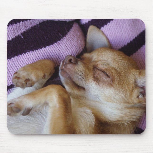 Sleeping Chihuahua Mouse Mat (Front)