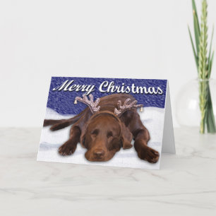Sleeping Chocolate Lab With Antlers Photo Custom Holiday Card