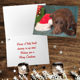 Sleeping Chocolate Lab With Santa Hat Photo Custom Holiday Card
