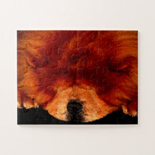Sleeping Chow Chow 11x14 30pc jpcn Jigsaw Puzzle