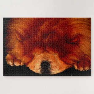 Sleeping Chow Chow 20x30 1014pc jpa Jigsaw Puzzle