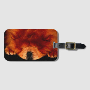 Sleeping Chow Chow bc ltcn Luggage Tag