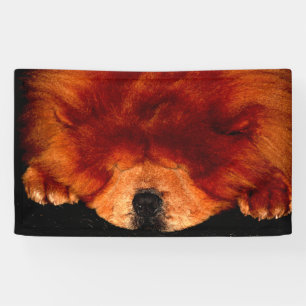 Sleeping Chow Chow bnrcn Banner