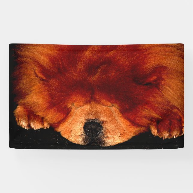 Sleeping Chow Chow bnrcna Banner (Horizontal)
