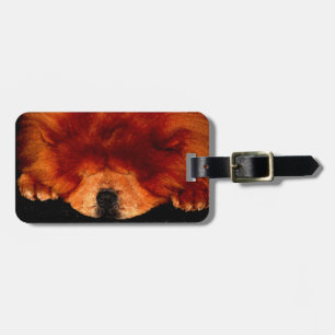 Sleeping Chow Chow cd ltcna Luggage Tag
