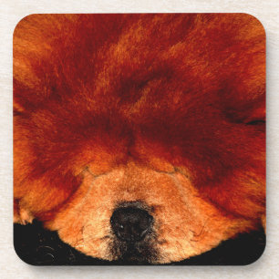 Sleeping Chow Chow coastercna Coaster