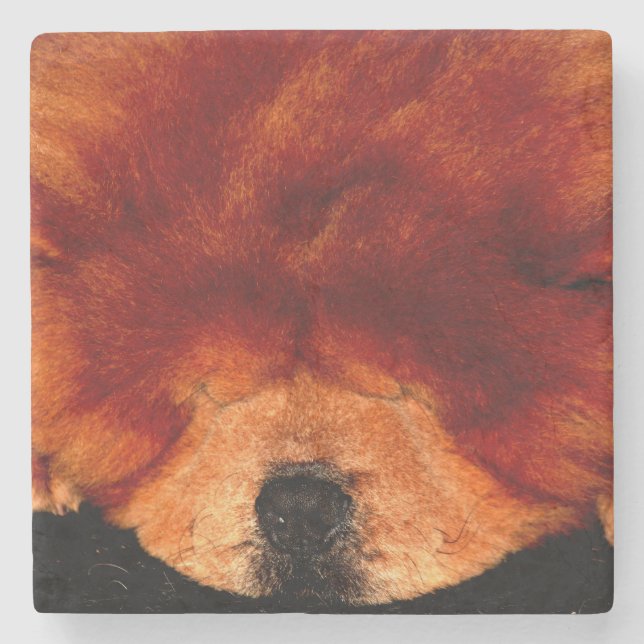 Sleeping Chow Chow coastercna Stone Coaster (Front)