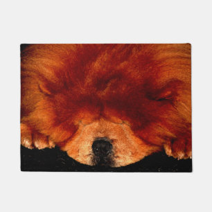 Sleeping Chow Chow dmcn Doormat