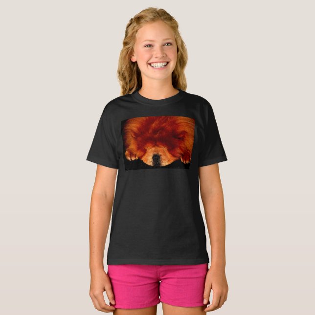 Sleeping Chow Chow gccna T-Shirt (Front Full)