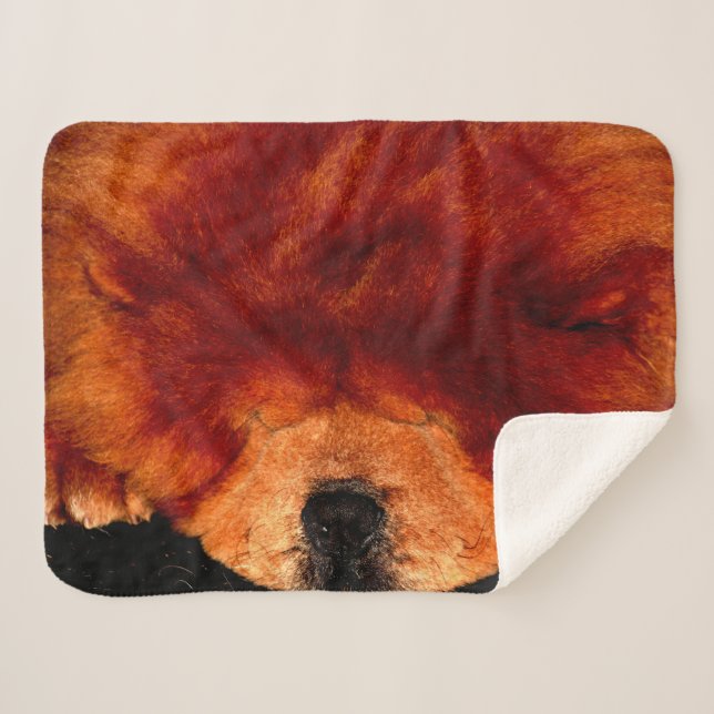 Sleeping Chow Chow sbcnm Sherpa Blanket (Front (Horizontal))