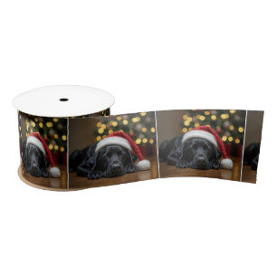 Sleeping Christmas Black Labrador Retriever Satin Ribbon