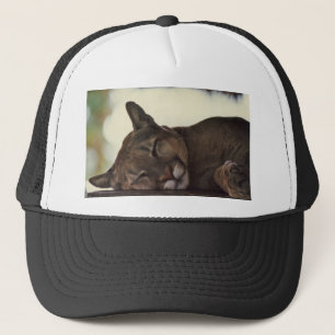 Sleeping Cougar Hat