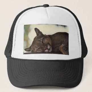Sleeping Cougar Hat