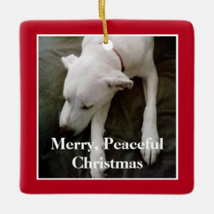 Sleeping Cute White pup Dog Square Red Christmas Ceramic Ornament