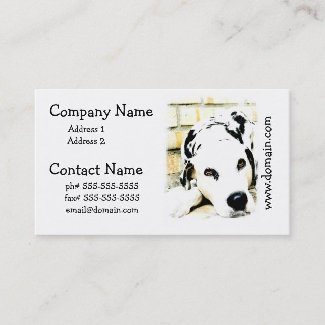Sleeping Dalmatian Business Cards (Front)