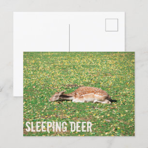 Sleeping Deer in hibernation in autumn on meadow Holiday Postcard