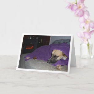 Sleeping Dog by Fireplace Card