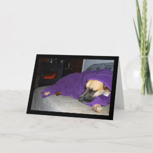 Sleeping Dog by Fireplace Card