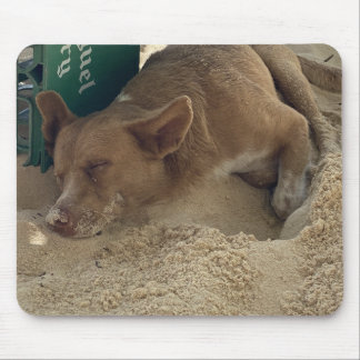 Sleeping dog mouse mat