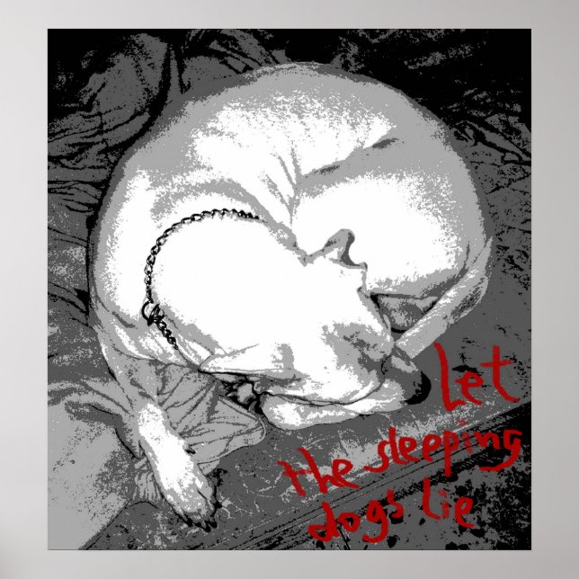 Sleeping dog (poster) poster (Front)