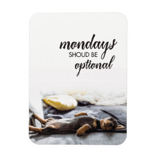 Sleeping doxie puppy Mondays should be optional Magnet