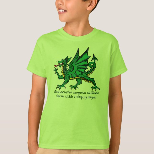 Sleeping Dragon Shirt (Front)