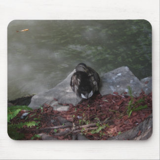 Sleeping Duck Mouse Mat
