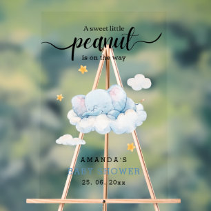 Sleeping Elephant Baby Shower, Boy Baby Shower Acrylic Sign