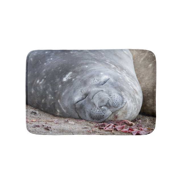 Sleeping elephant seal bath mat (Front)